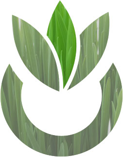 Tecno Green Preventivo